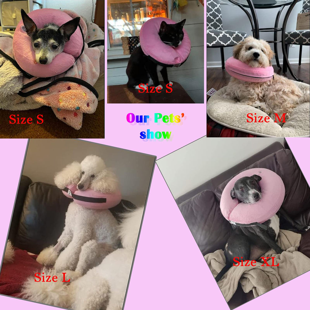 Katoggy collar inflable donut certificado clima amigable para un cuidado responsable.