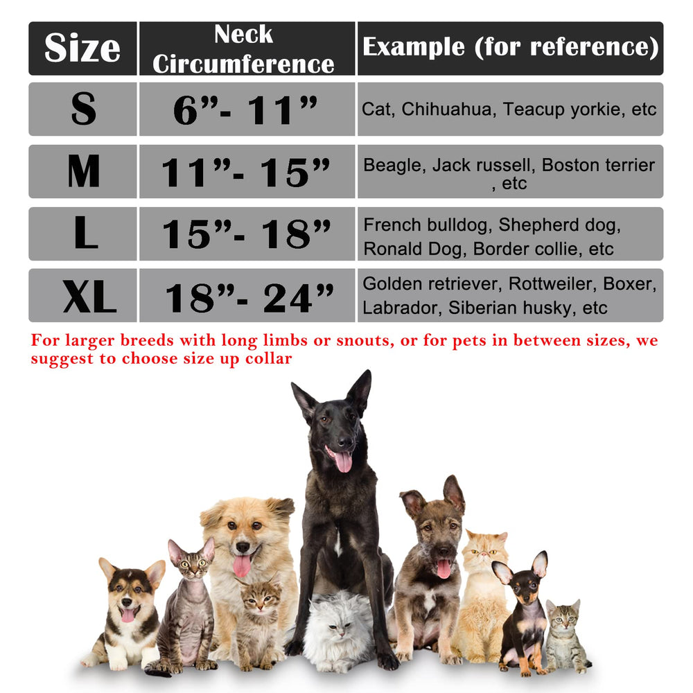 Katoggy collar inflable para recuperación postoperatoria: permite comer y beber con comodidad.