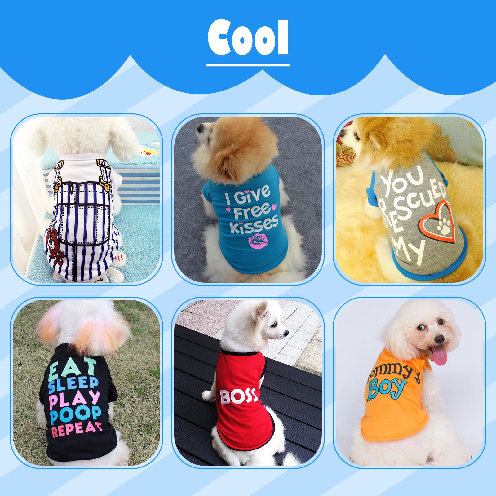 KATOLK diseño de impresion divertida para perros machos.