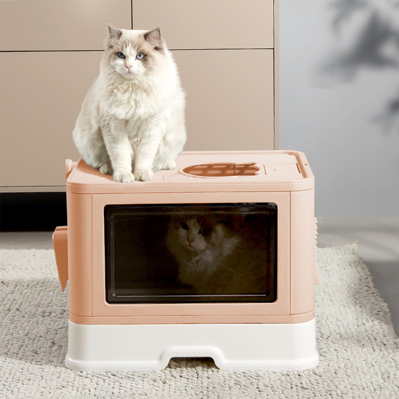 Kattypet arenero extra grande adecuado para gatos grandes.