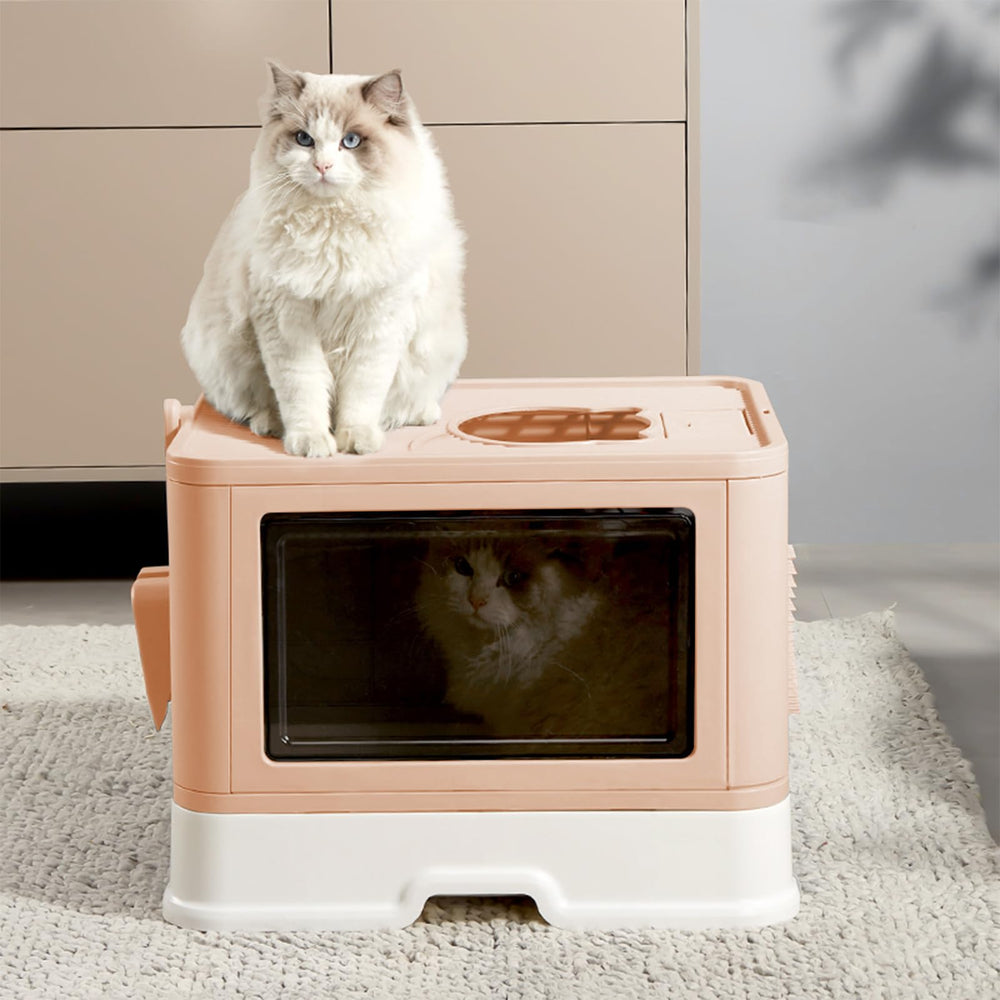 Kattypet arenero extra grande adecuado para gatos grandes.
