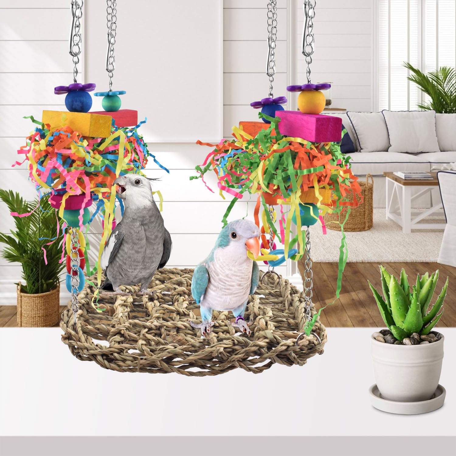KATUMO accesorios para aves, diseño modular para entretenimiento.