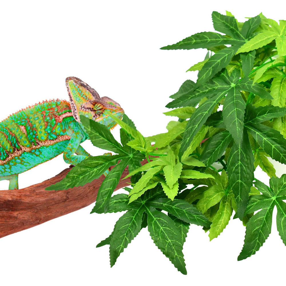 KATUMO Ambientación Terrario: plantas colgantes para reptil y anfibio