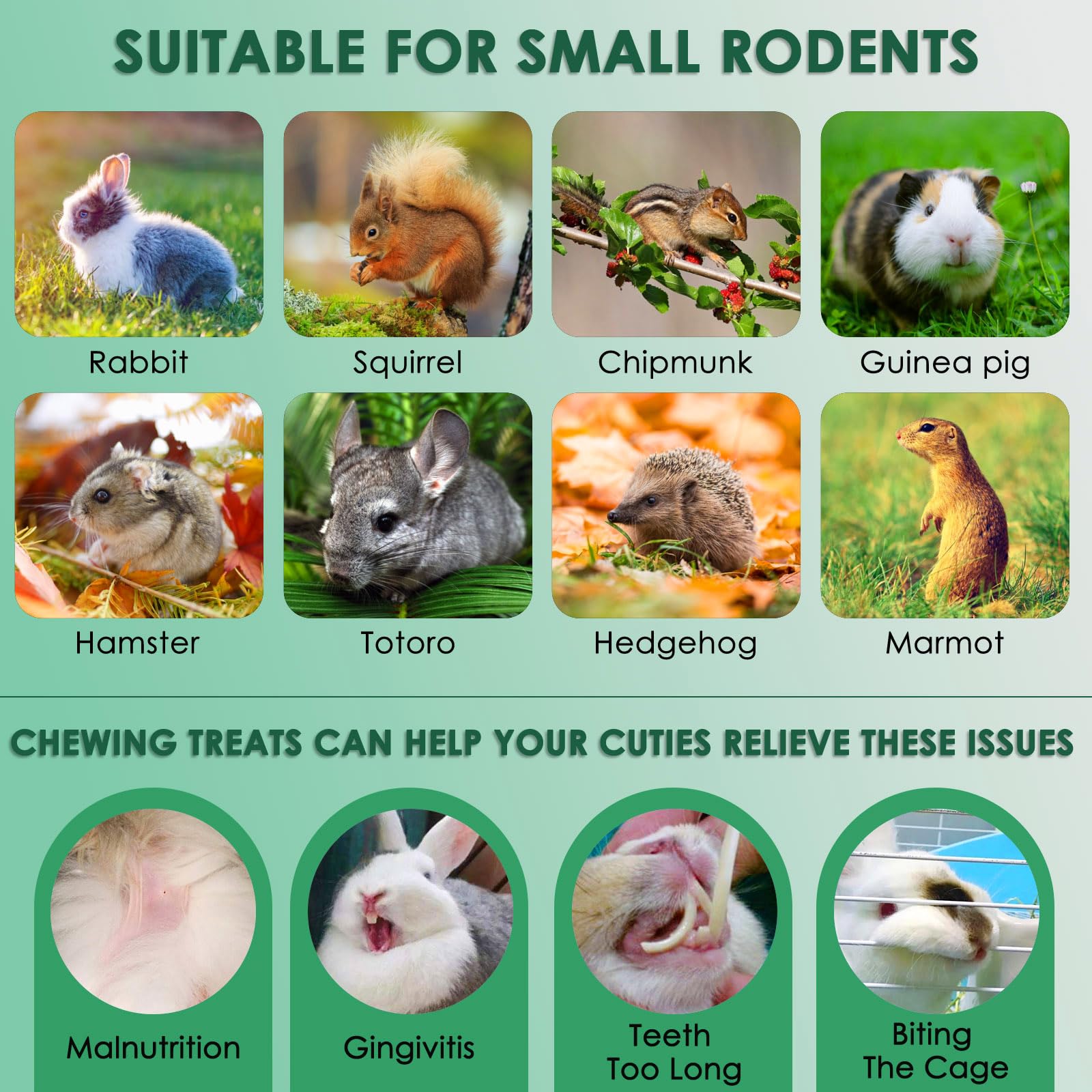 KATUMO tentempié natural para conejo, sin aditivos ni químicos.