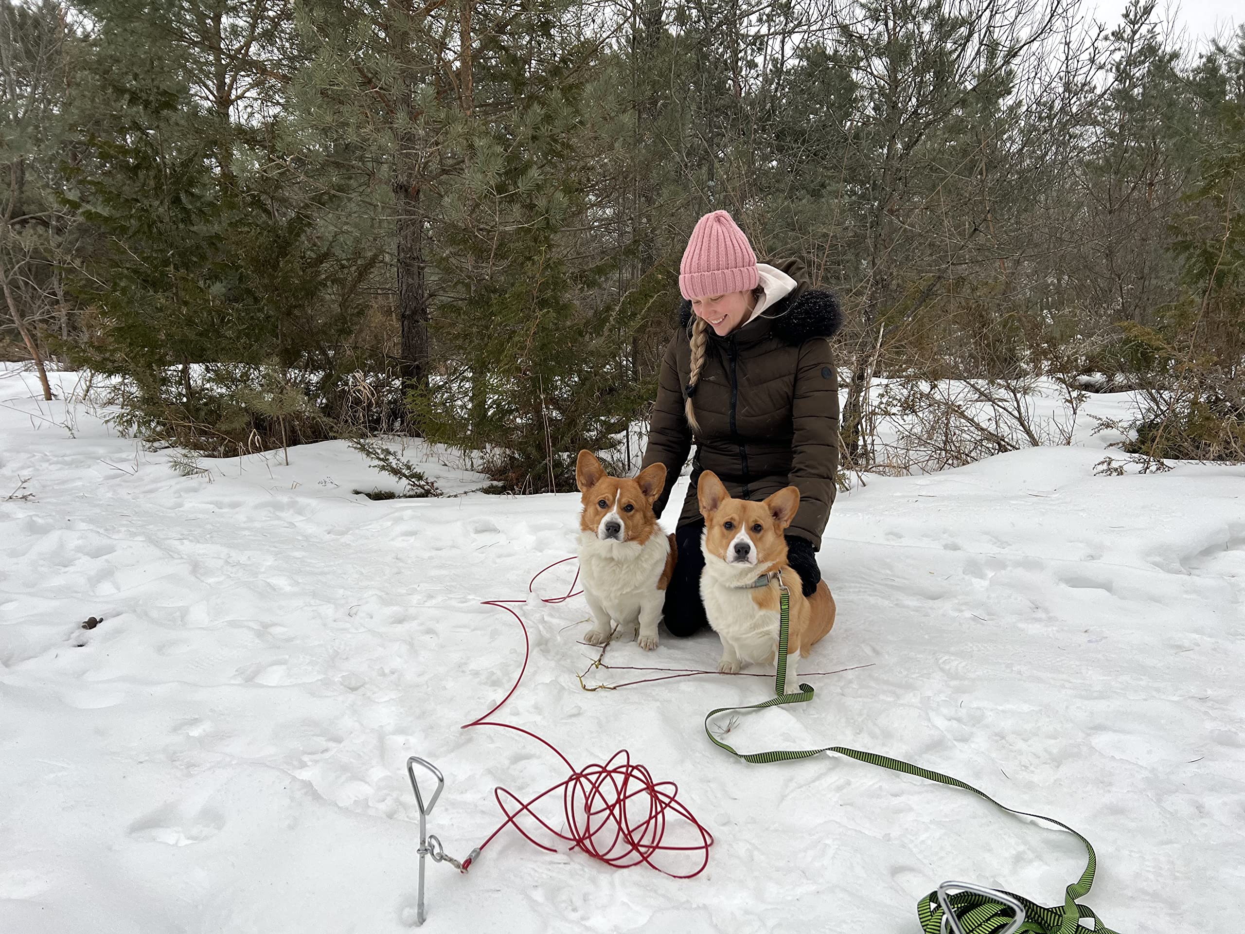 Katzco estaca para perros, cable no incluido, fácil instalación.