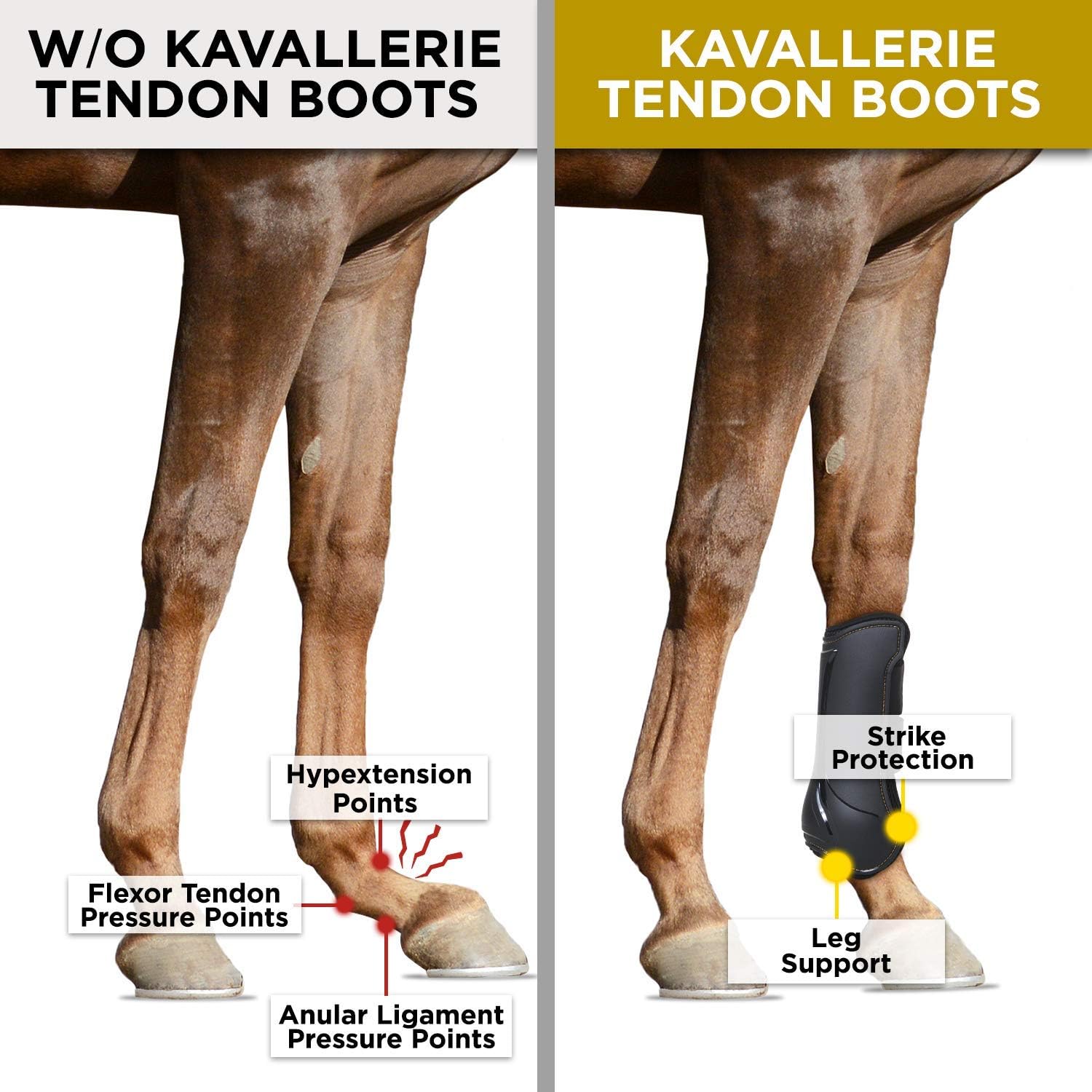 Kavallerie AeroFlex Tejido transpirable que gestiona la humedad