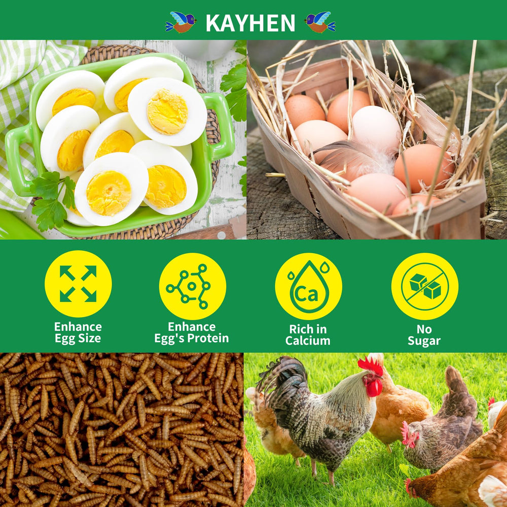 KAYHEN larvas mosca negra secas, alto calcio para la salud ósea de aves.