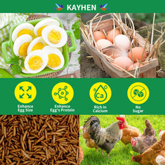 KAYHEN larvas mosca negra secas, alto calcio para la salud ósea de aves.
