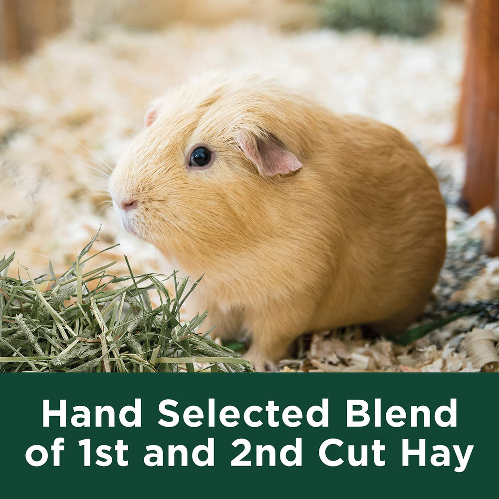 Kaytee Alfalfa Mini Bale libre de pesticidas, cultivo natural para tus mascotas.