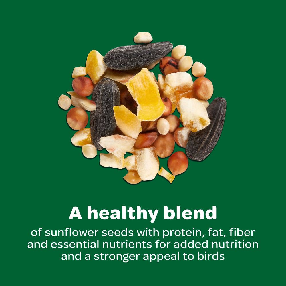Kaytee Alimento para aves: apto para jardines y comederos al aire libre.