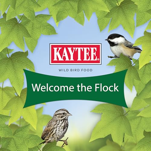 Kaytee Alimento para aves: mezcla diseñada para visitantes constantes del jardín.