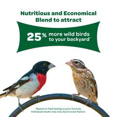 Kaytee Alimento para aves: vitaminas enriquecidas para un aporte nutritivo estable.
