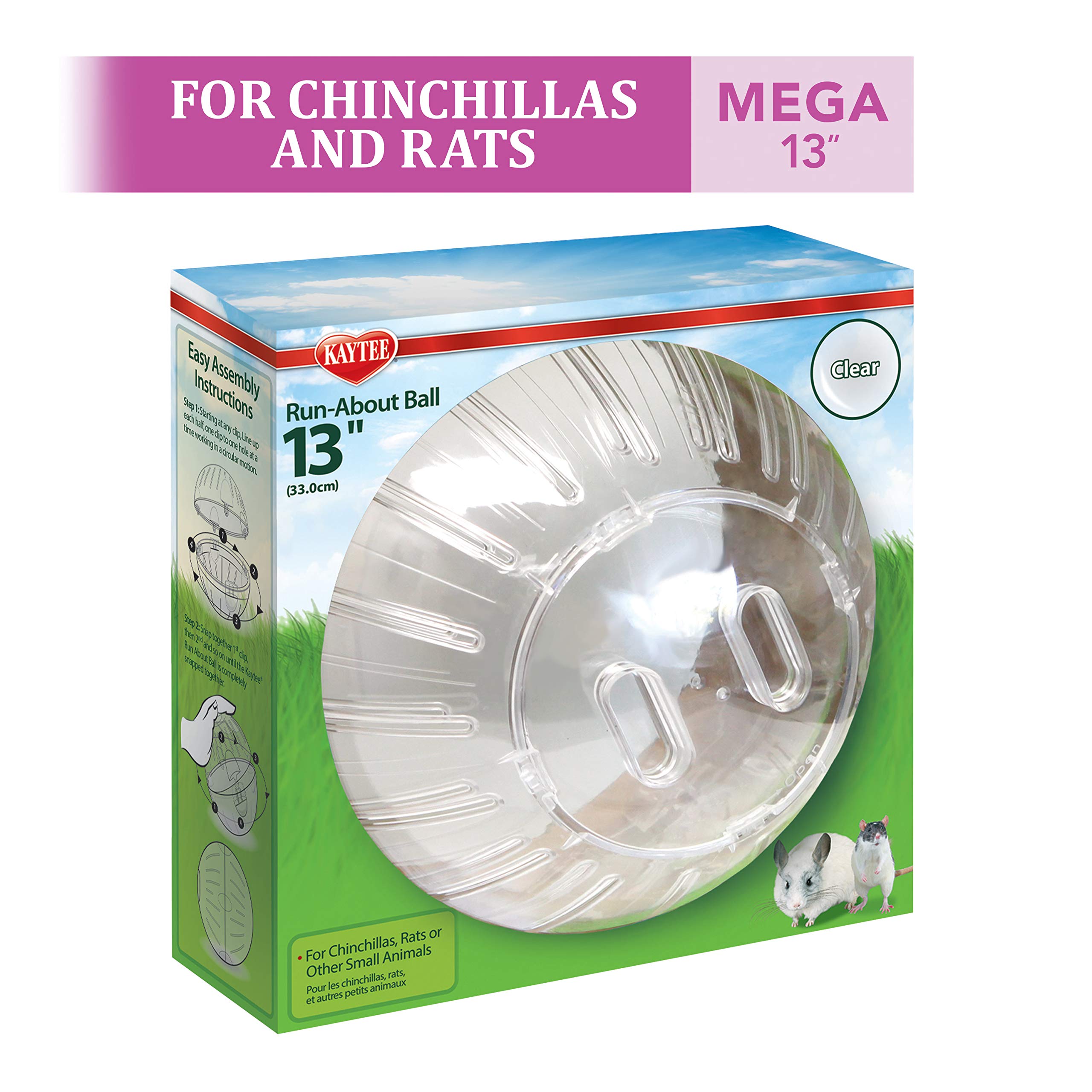 Bola de ejercicio Kaytee de colores para ratas y chinchillas en casa.