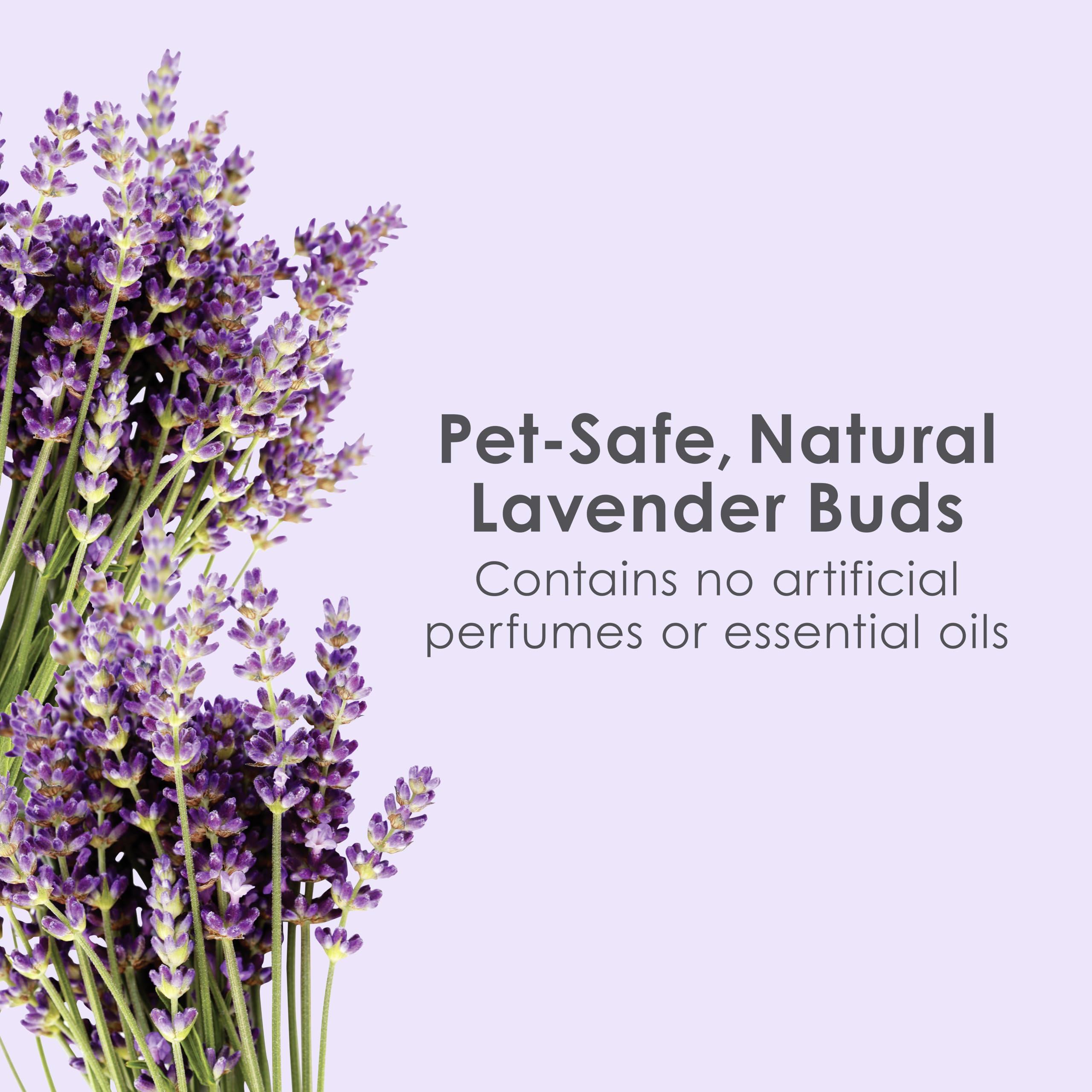 Kaytee cama lavanda alta absorción para hábitat seco
