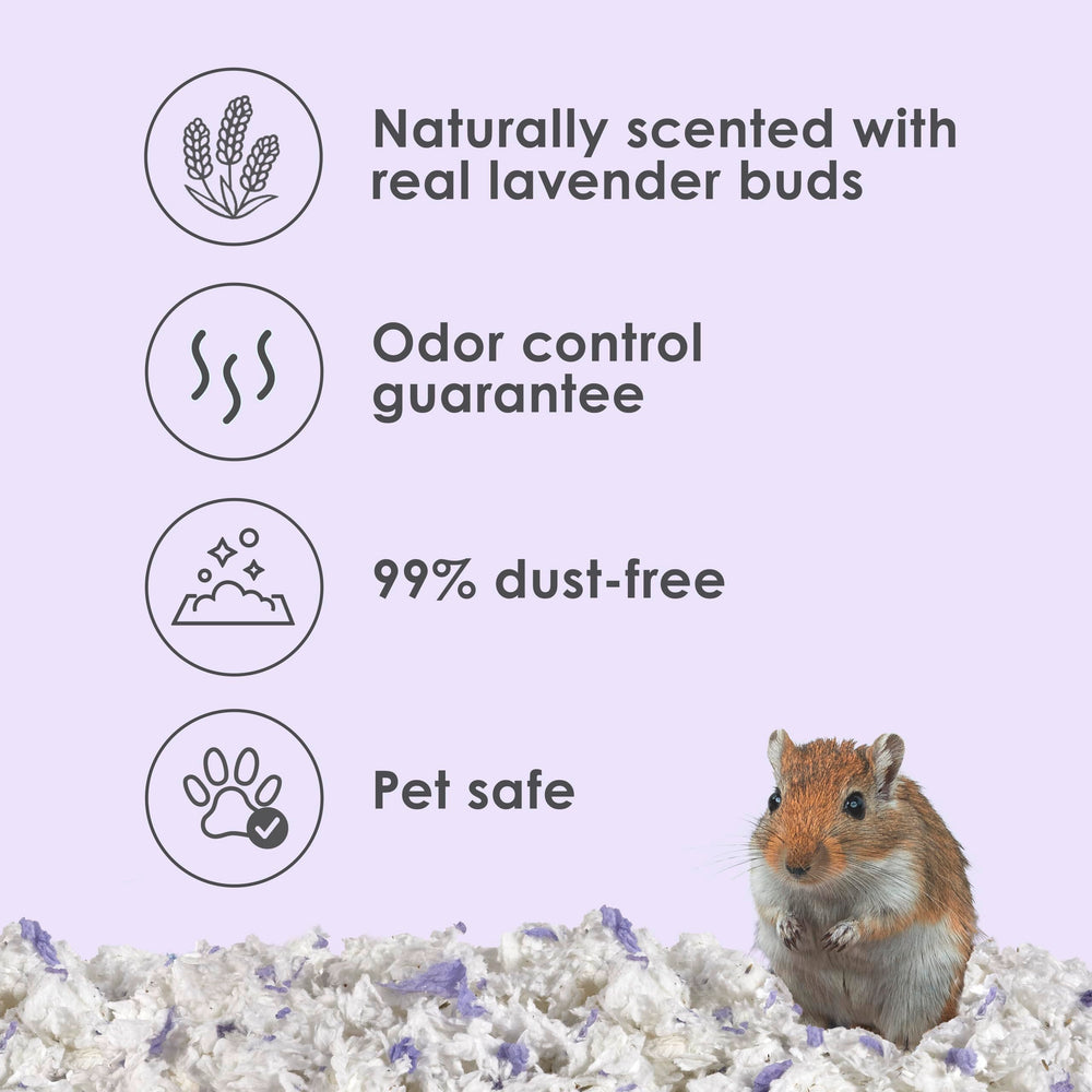 Kaytee lavanda aroma suave en el lecho para mascota