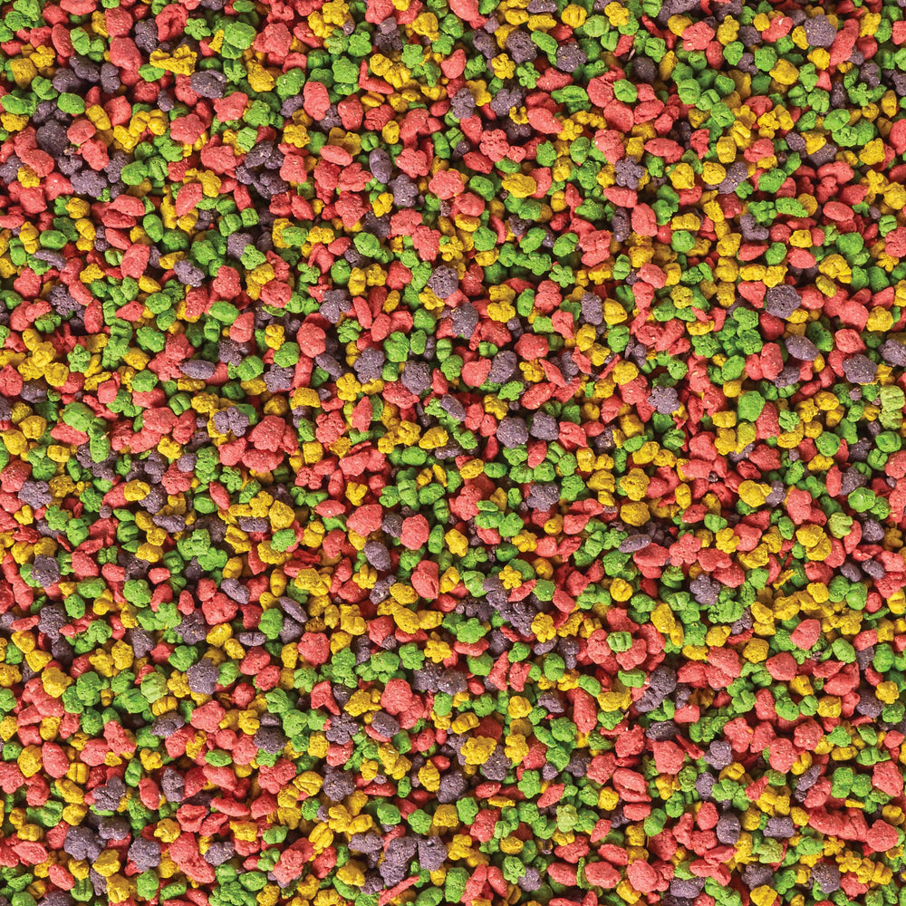 Kaytee Exact Rainbow: lorito comiendo granulos en tazón