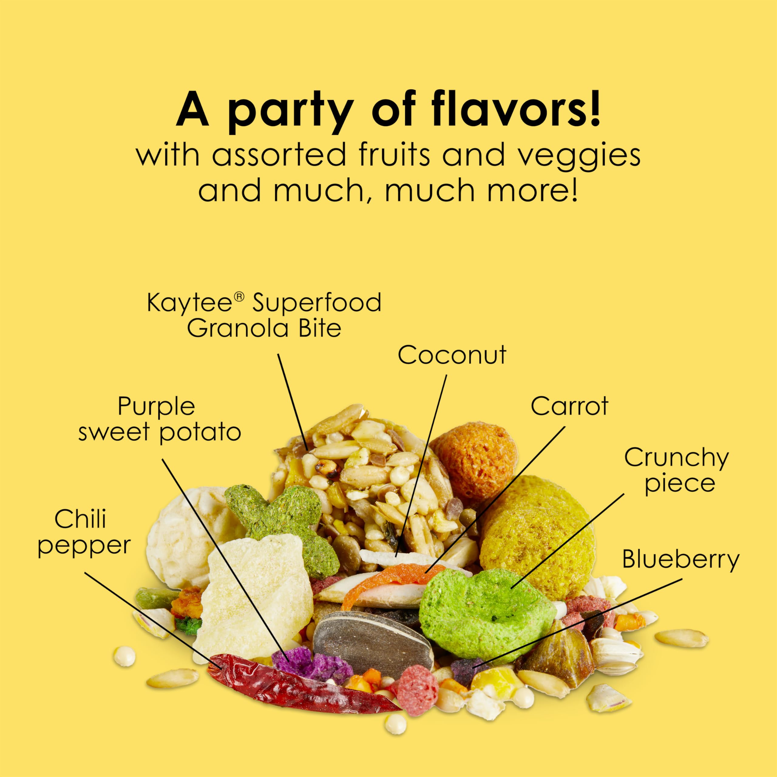 Kaytee Fiesta para Conuro: nutrientes para salud cerebral y concentración.