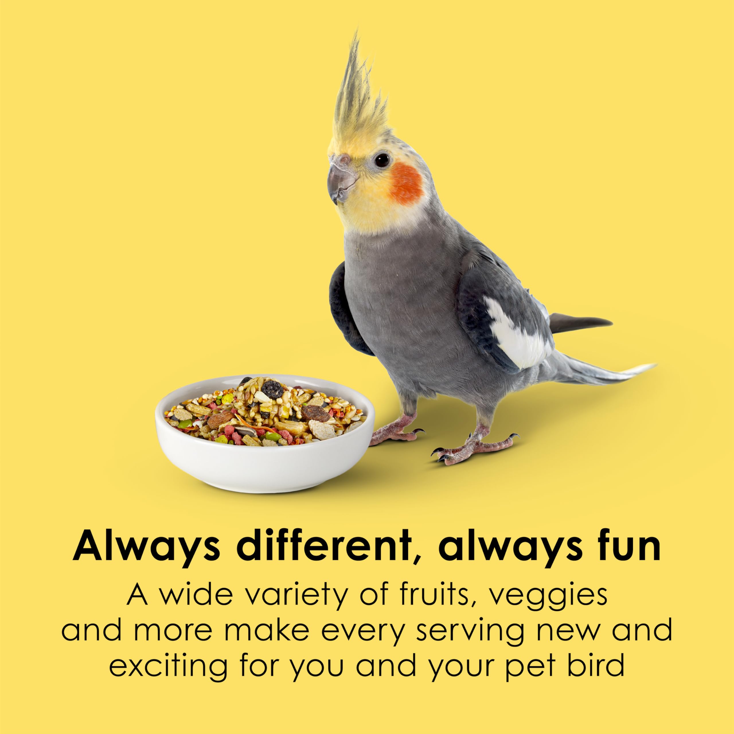 Kaytee Fiesta frutas y verduras para cockatiel con color y nutrientes