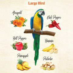 Kaytee Food From The Wild: chile picante, toque aromático para aves curiosas.