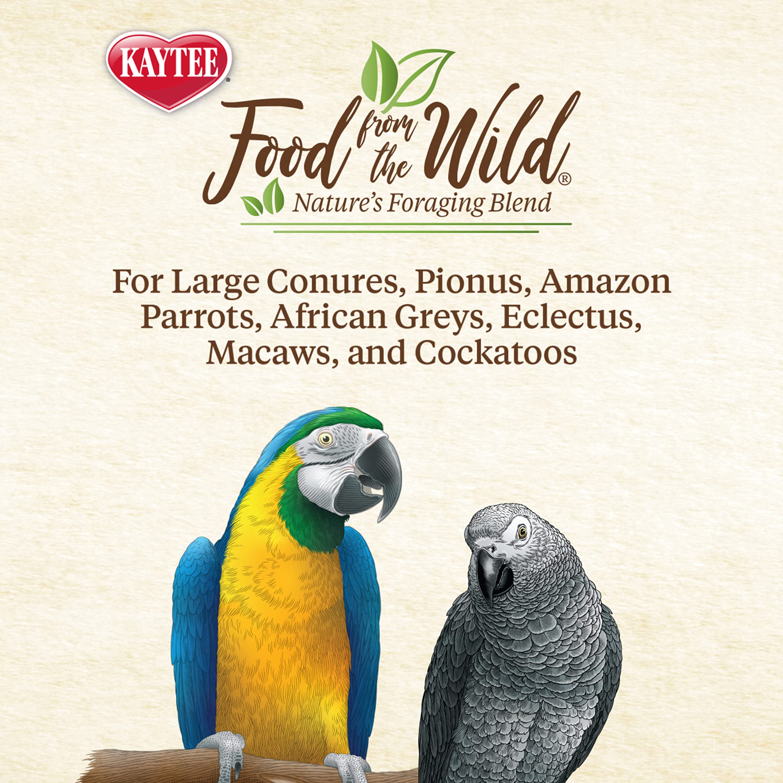 Kaytee Food From The Wild: pistacho pelado, fuente de proteína y juego variado.