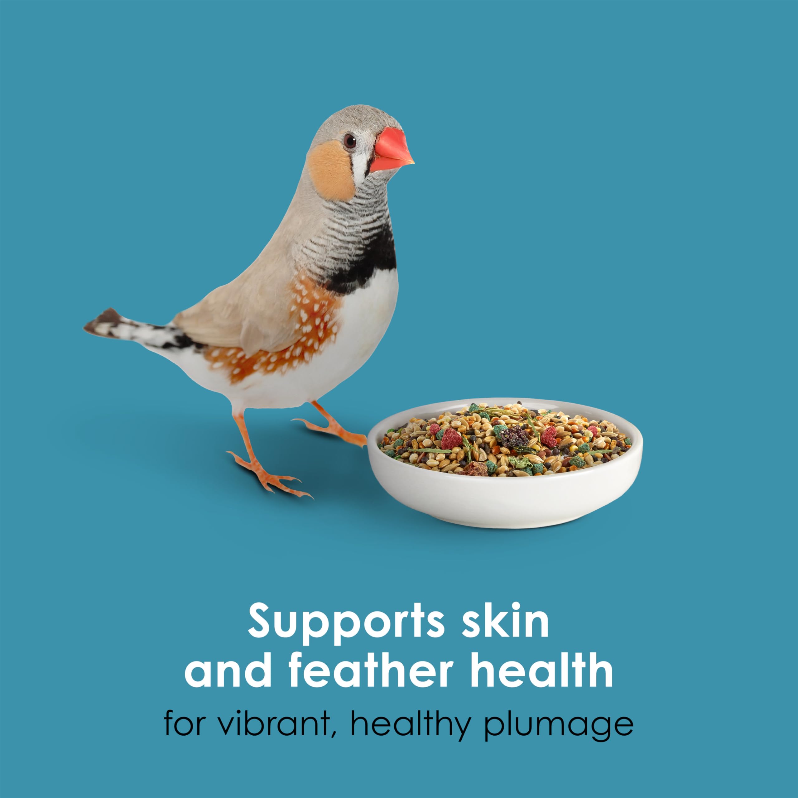 Uso diario recomendado en jaula de aves pequeñas, Kaytee Forti-Diet Pro Health.