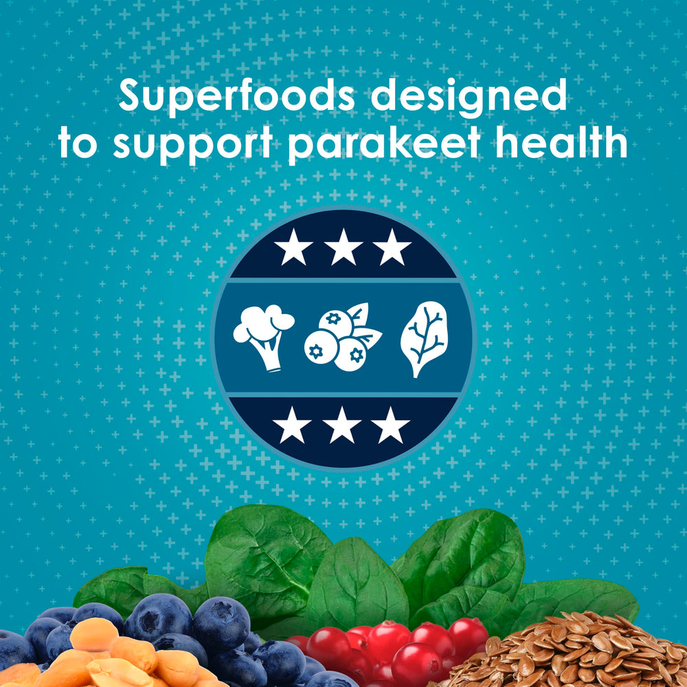 Fibra psyllium para soporte digestivo y microbioma curiosamente equilibrado.