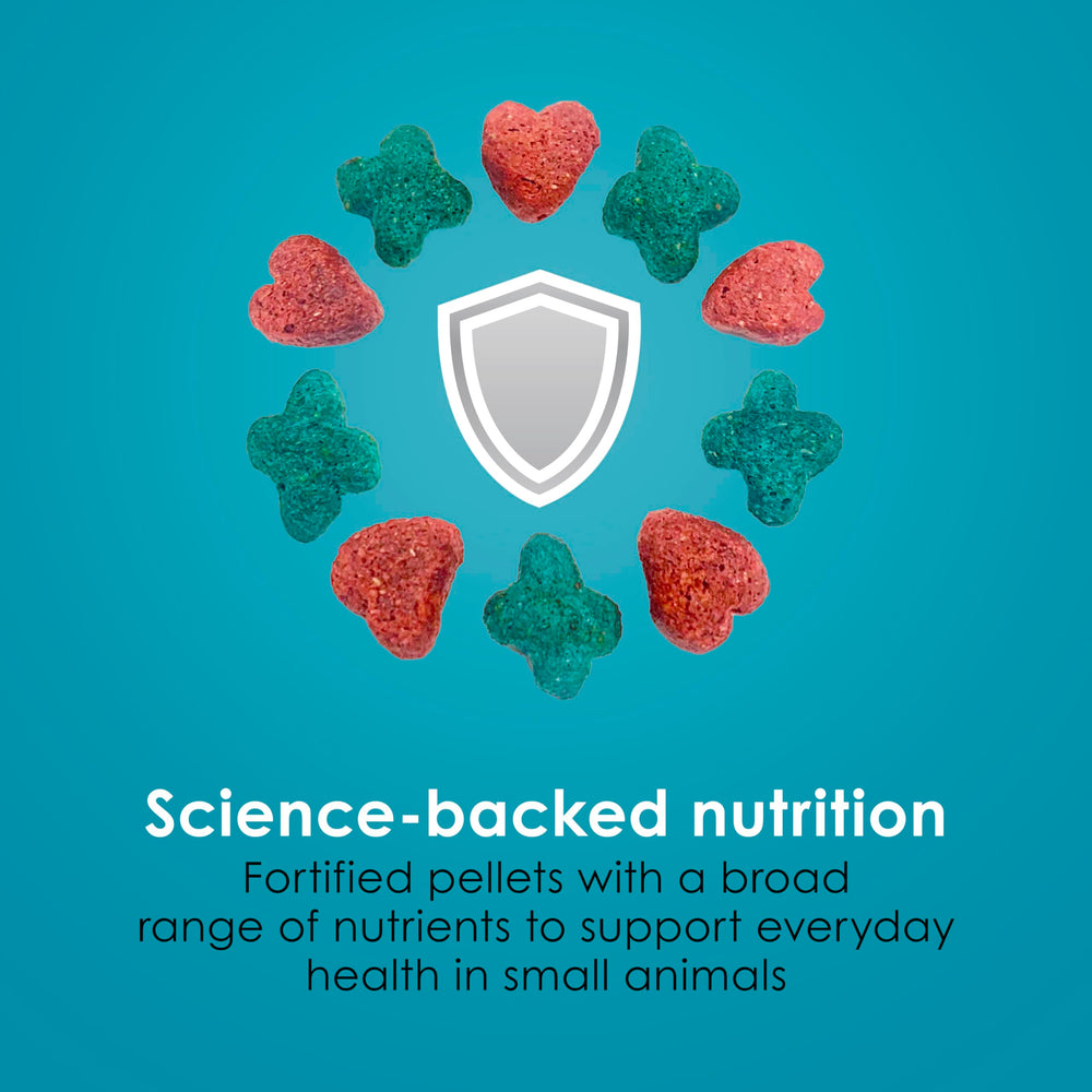 Prebioticos y probioticos para digestión equilibrada