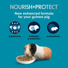 Ingredientes clave linaza de Kaytee Forti-Diet Pro Health Nourish+Protect para antioxidantes.