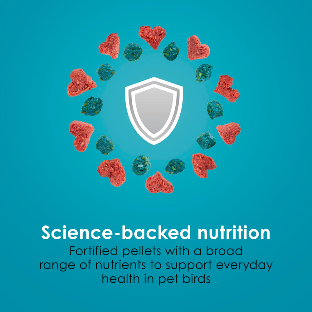 Piel y plumaje brillantes, Kaytee Forti-Diet Pro Health, avala plumaje vibrante.