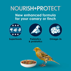 Close-up de pellets Kaytee Forti-Diet Pro Health, textura crujiente para canarios.
