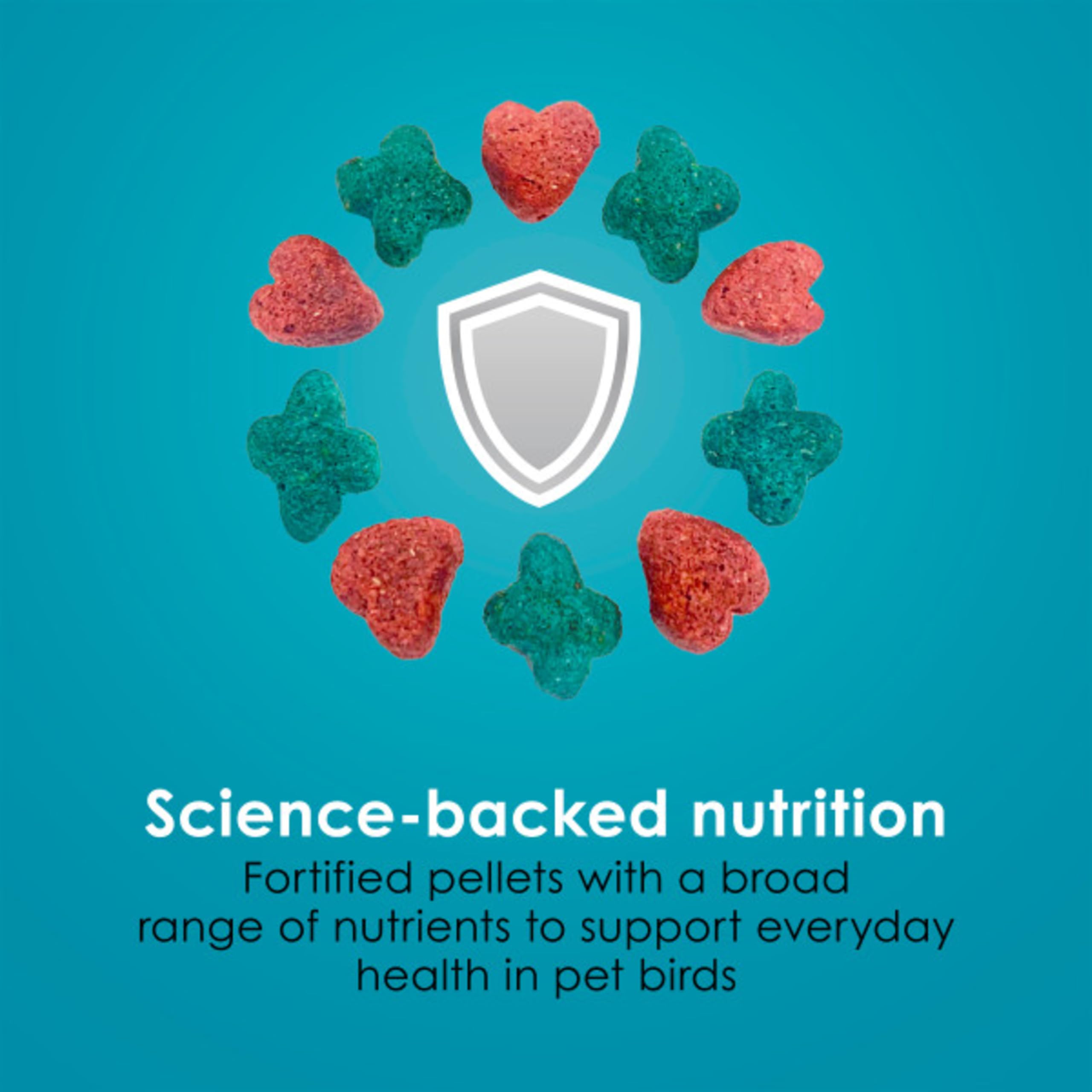 Kaytee Forti-Diet Pro Health, piel y plumaje más vibrantes.