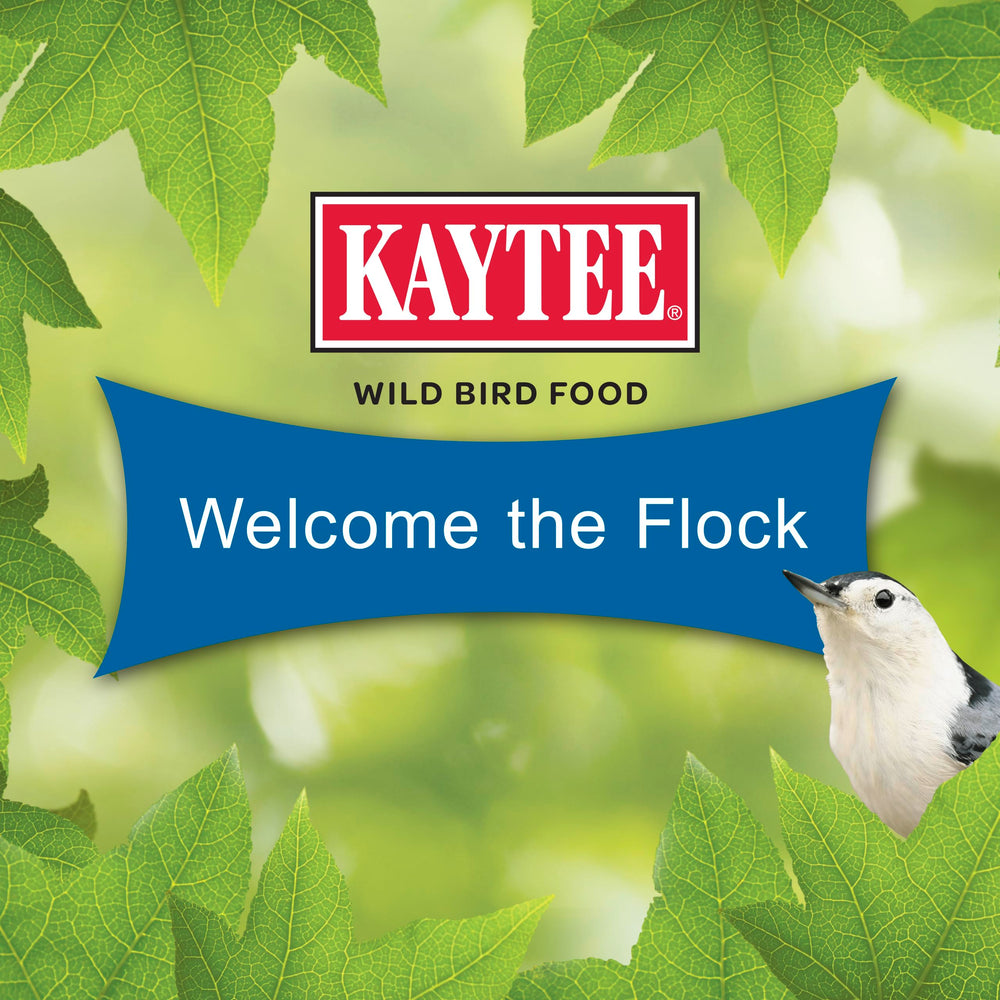 Kaytee Gourmet Seed Cake para jilguueros: favorece escenas coloridas en el jardín