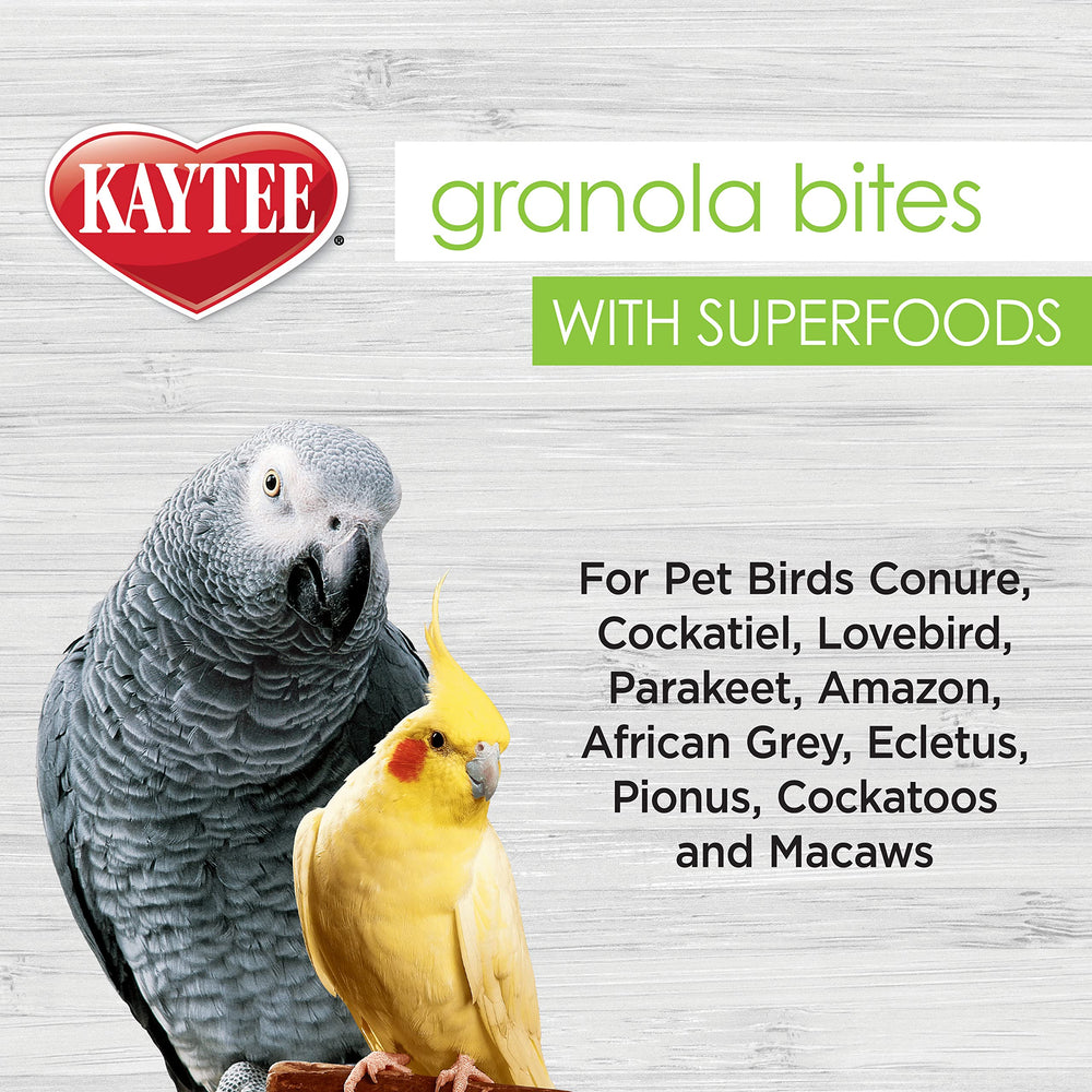 Kaytee Granola Bites, aves-disfrutan: ideal para vínculo y juego.