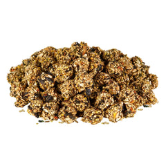 Kaytee Granola Bites para forrajeo, ideal para exploración y juego