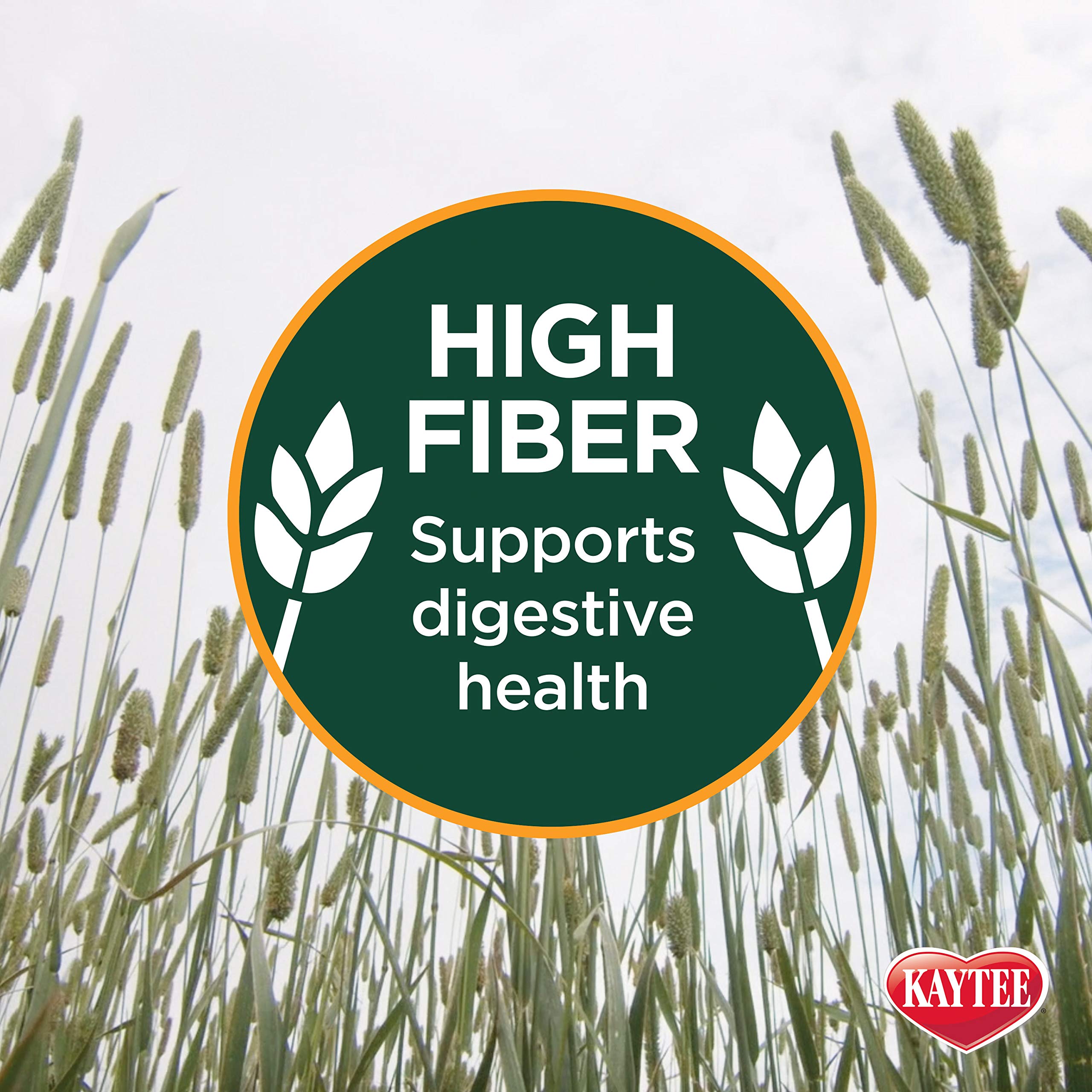 Kaytee heno fibra alta favorece la salud digestiva y desgaste dental.