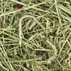Kaytee heno Timothy natural con arándanos para conejillos de indias, sabor y fibra balanceada