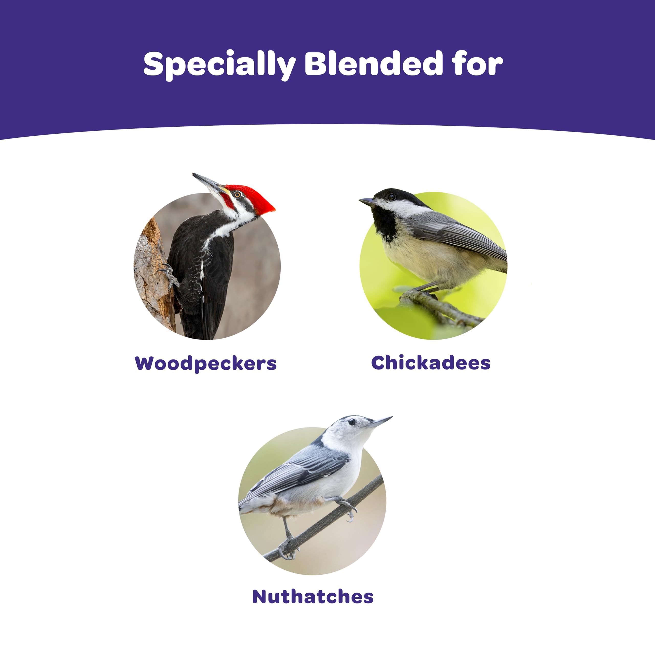 Kaytee ingredientes: nueces y semillas para aves carpinteras.