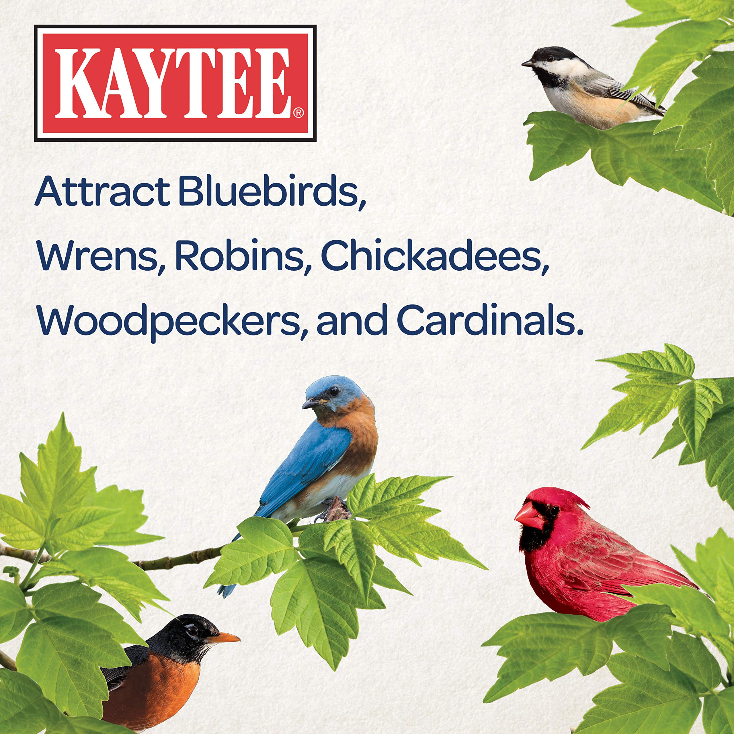 Kaytee alimento de alta energía para aves en movimiento.
