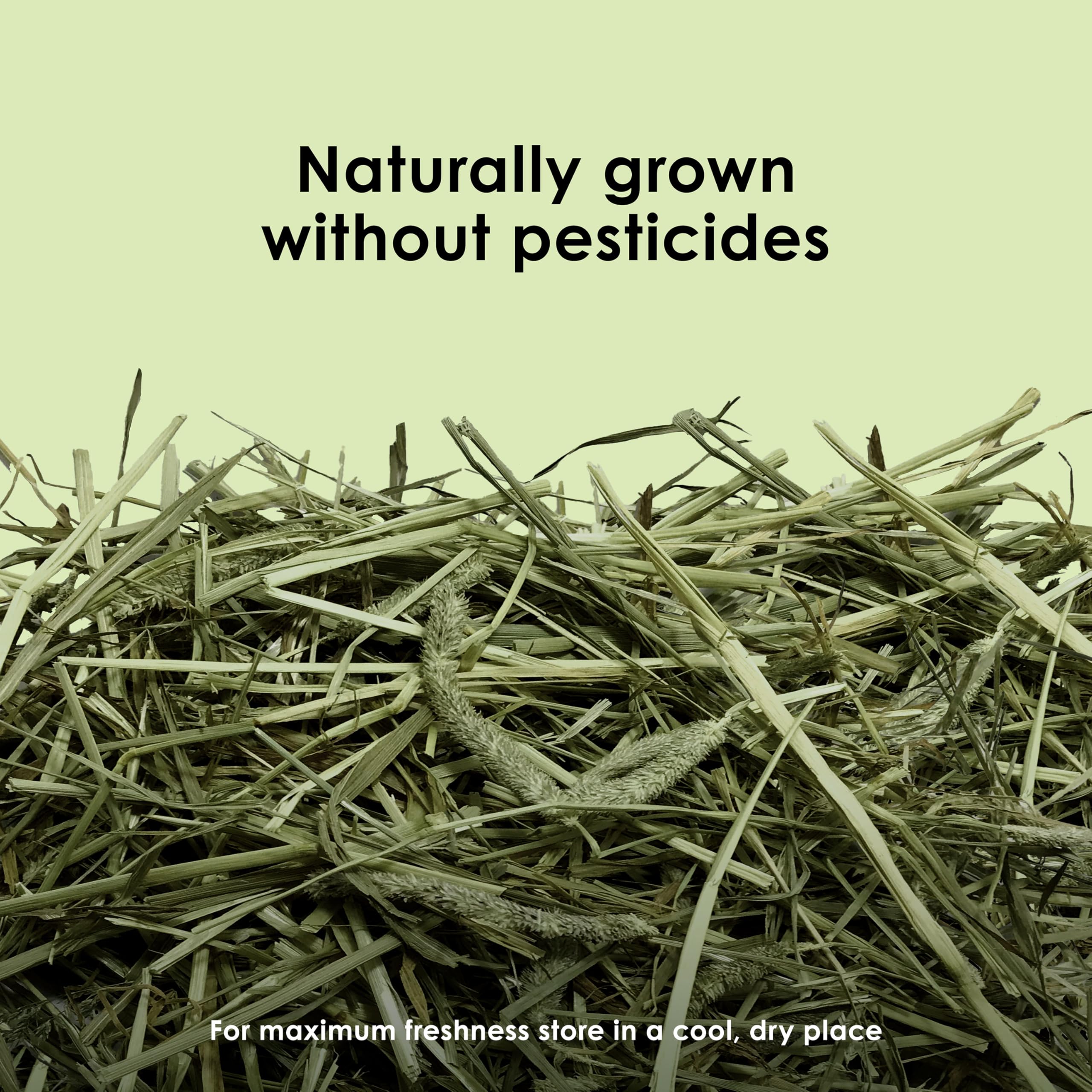 Mezcla de heno para conejos y cobayas que favorece el forraje diario.