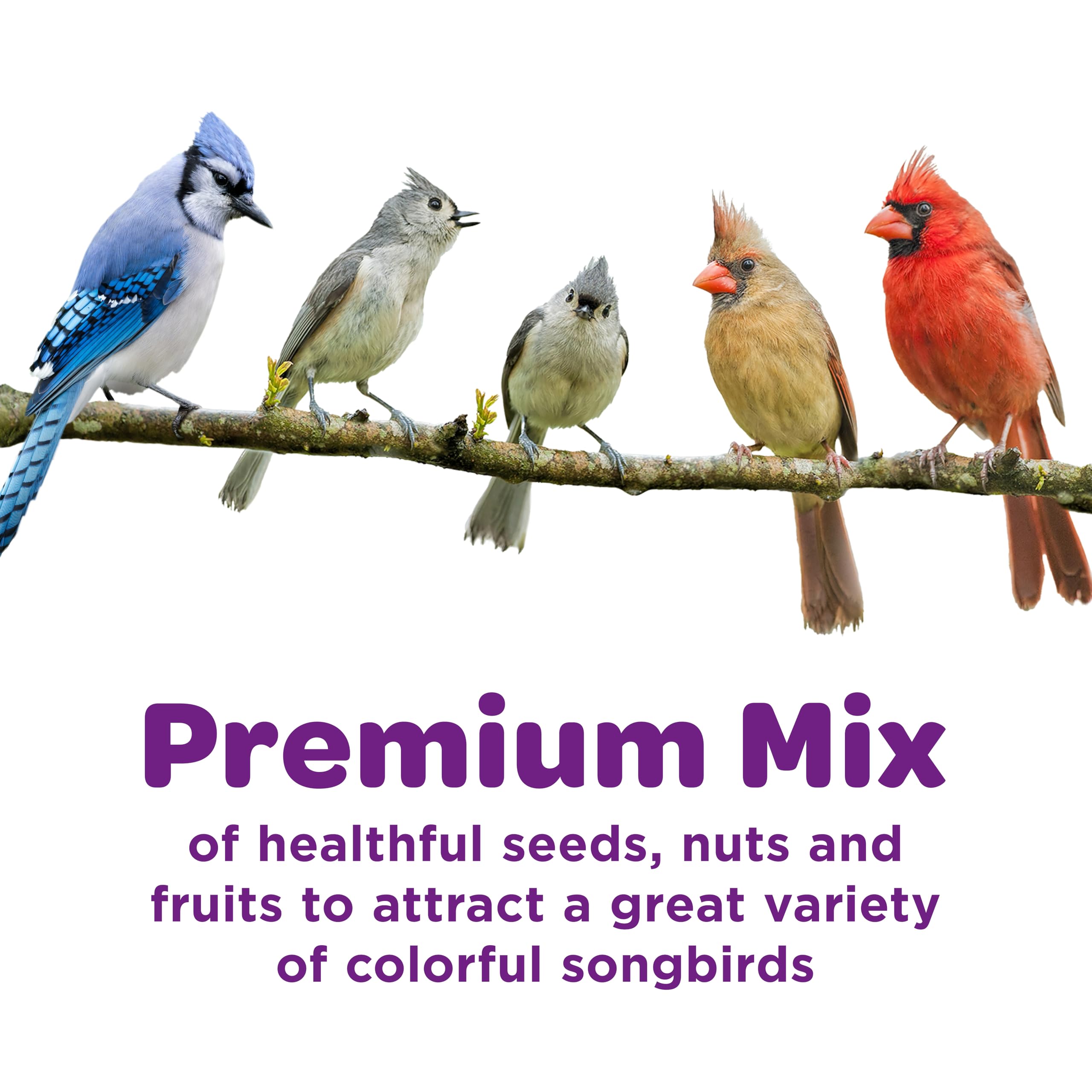 Kaytee Nut & Fruit: pedazos de fruta y nueces para aves curiosas.