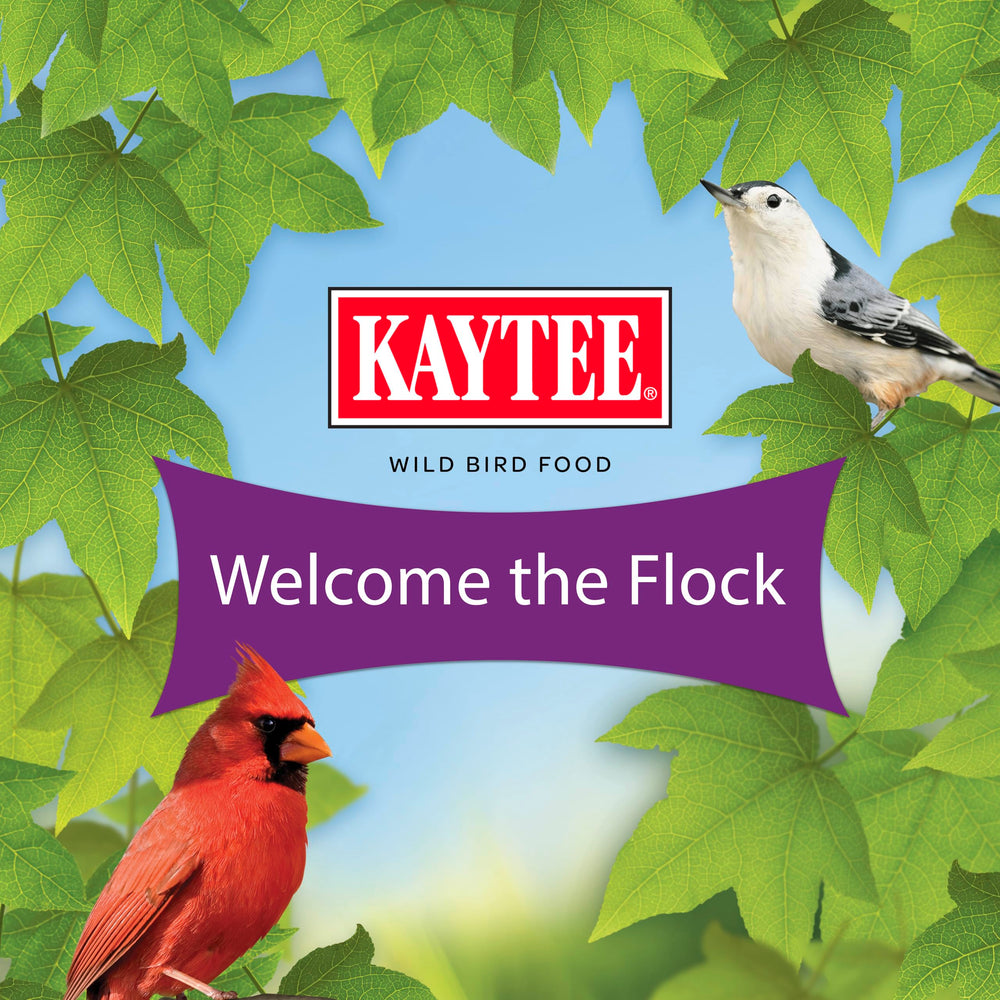 Kaytee Nut & Fruit: pájaros de pico grueso encuentran sabor nutritivo.
