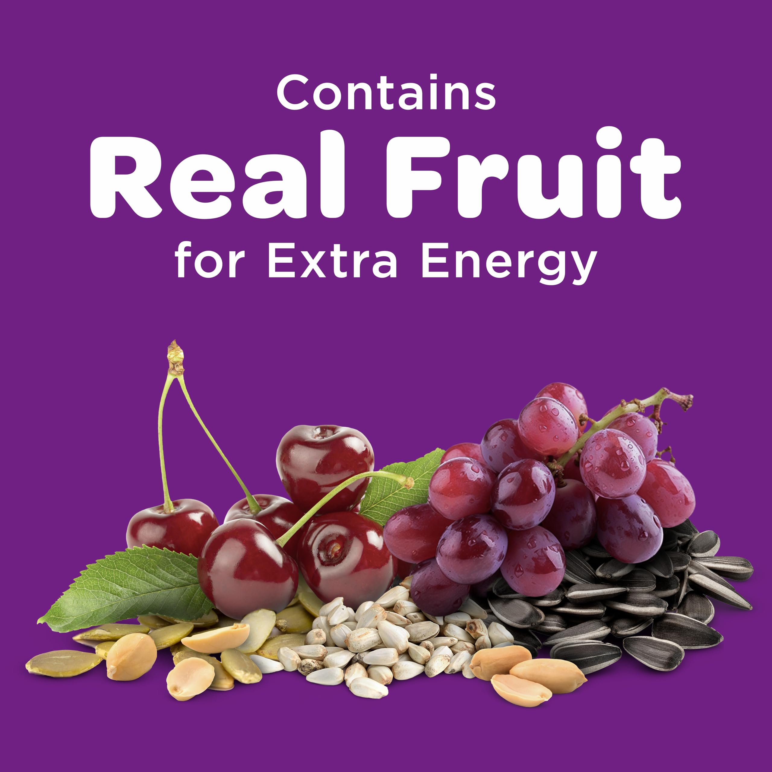 Kaytee Nut & Fruit: semillas de girasol y nueces para aves energéticas.