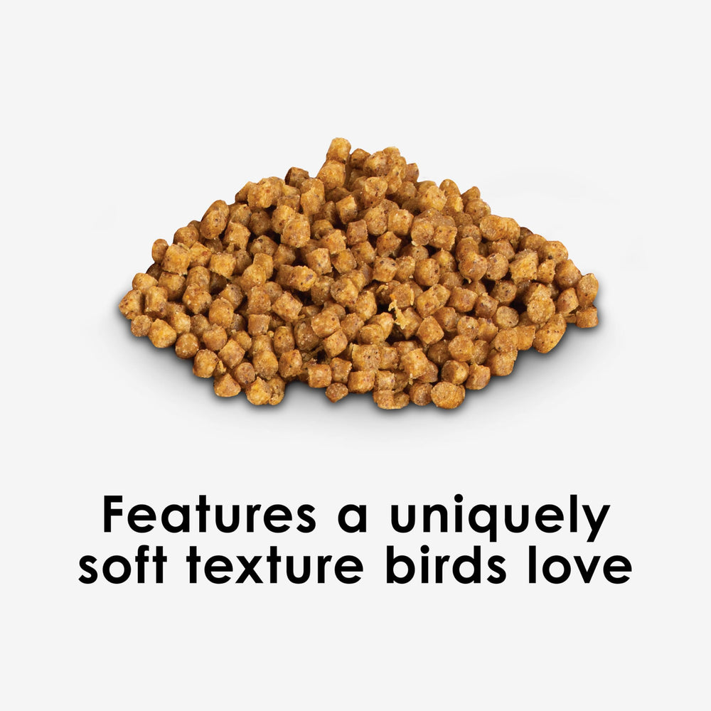 Kaytee NutriSoft con frutas naturales, sabor agradable para aves curiosas.