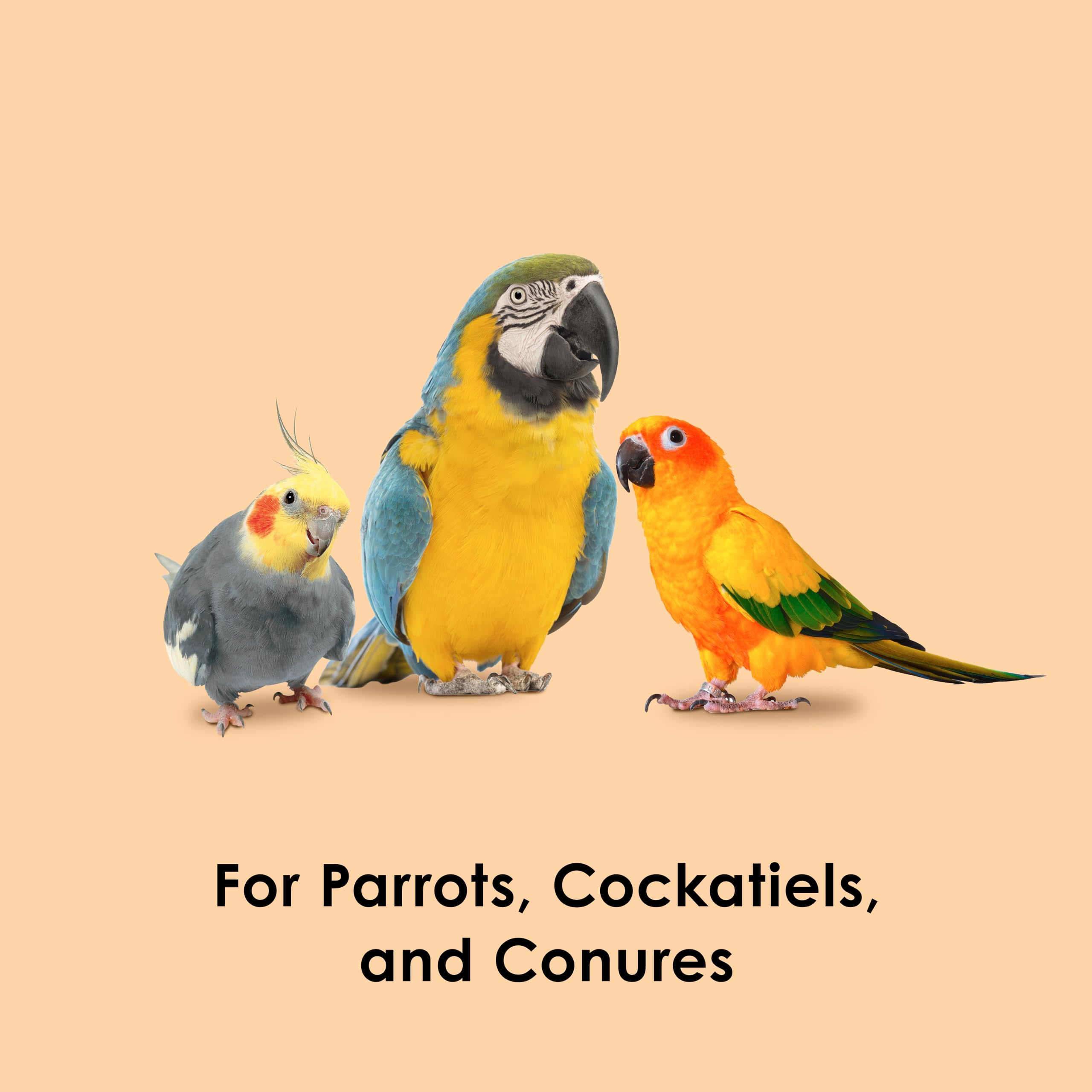 Kaytee Papaya Bocados para aves, ideal para forrajeo y entretenimiento diario.