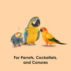 Kaytee Papaya Bocados para aves, ideal para forrajeo y entretenimiento diario.