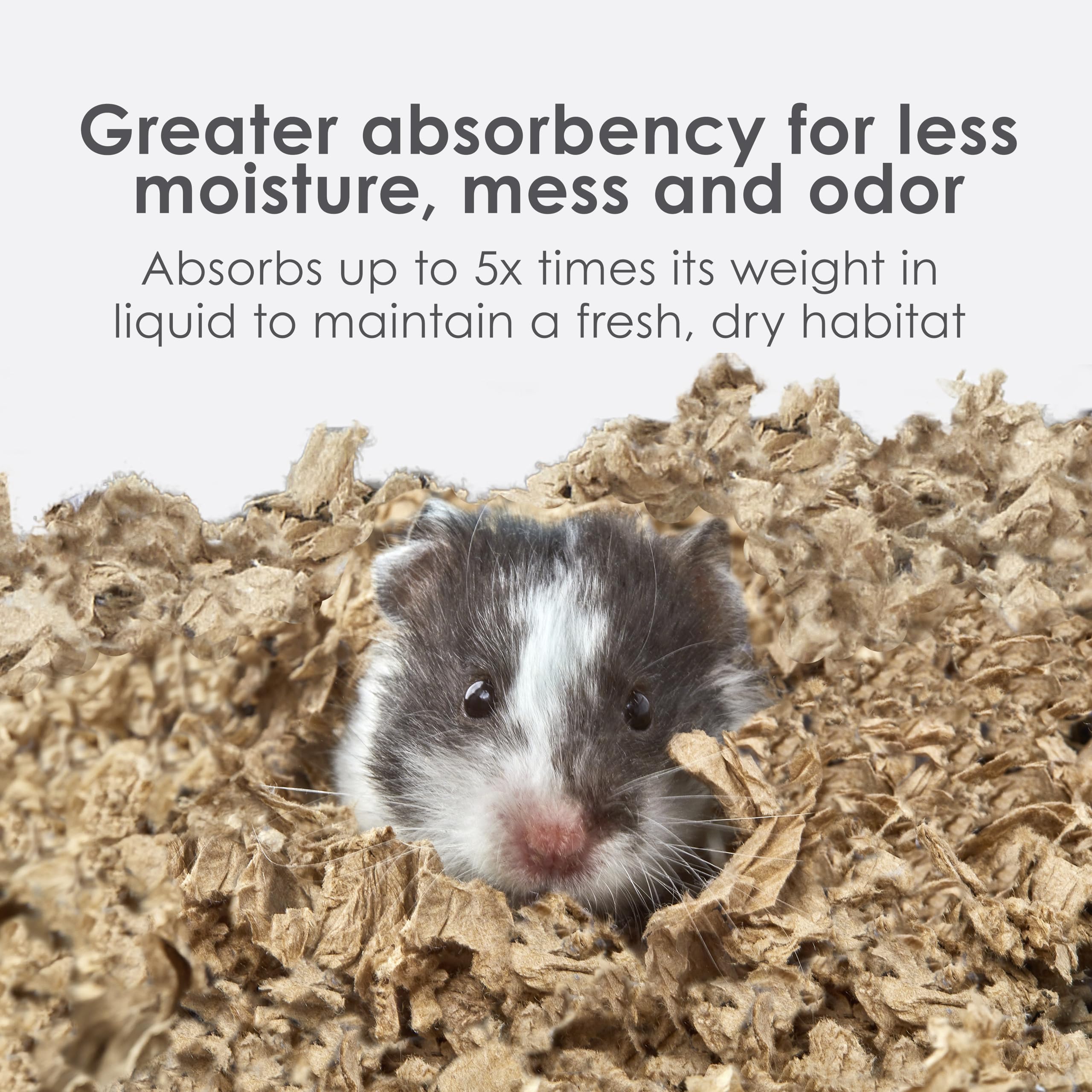 Kaytee Clean & Cozy: papel natural reciclado, opción ecológica para tu mascota