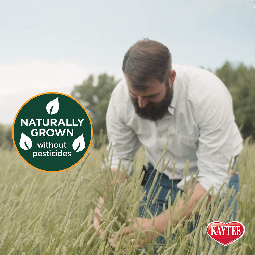 Kaytee paquete variedad sabores: tres sabores para mantener el interés durante la alimentación.
