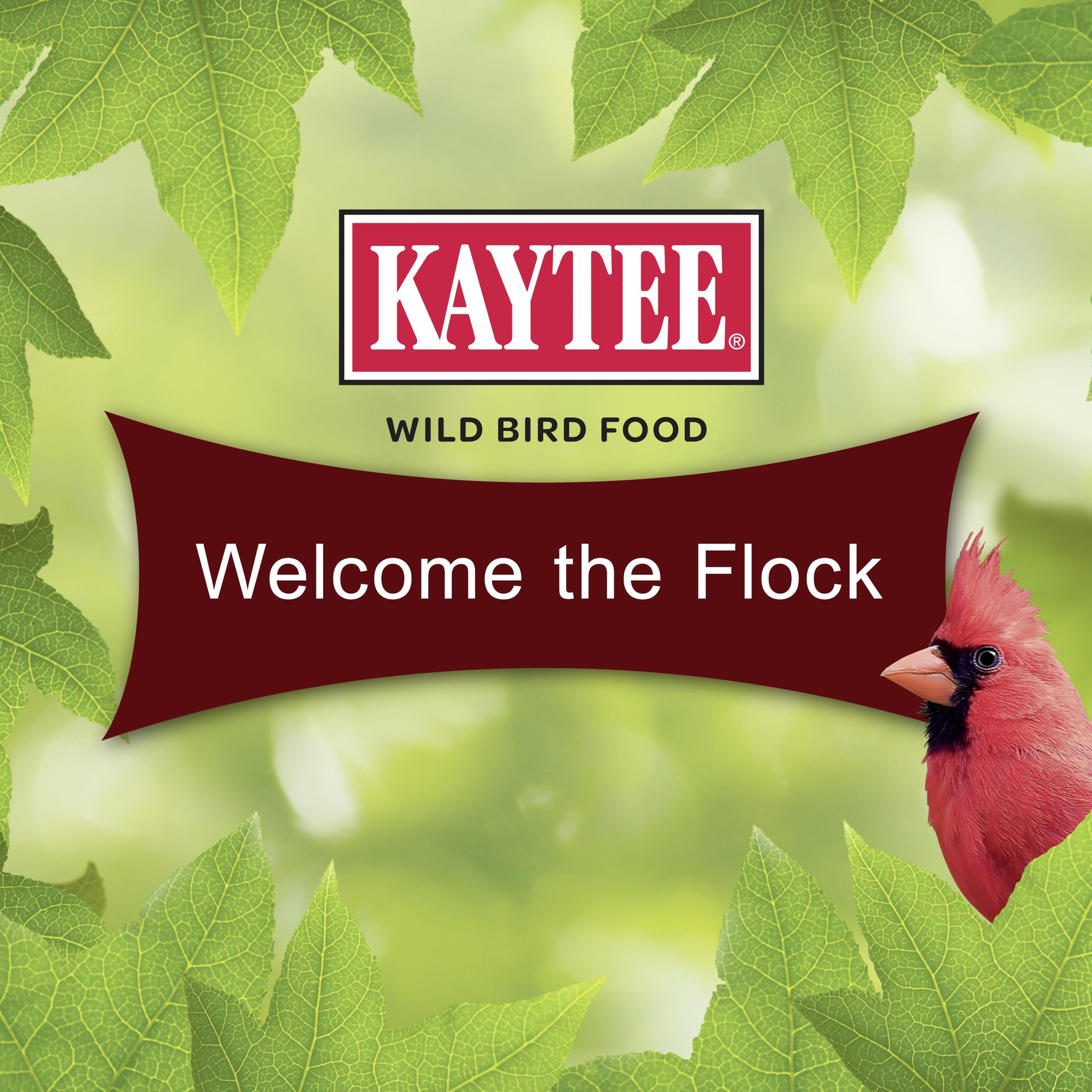 Kaytee Pastel de Semillas Cardinales: atrae cardenales rojos y otras aves.