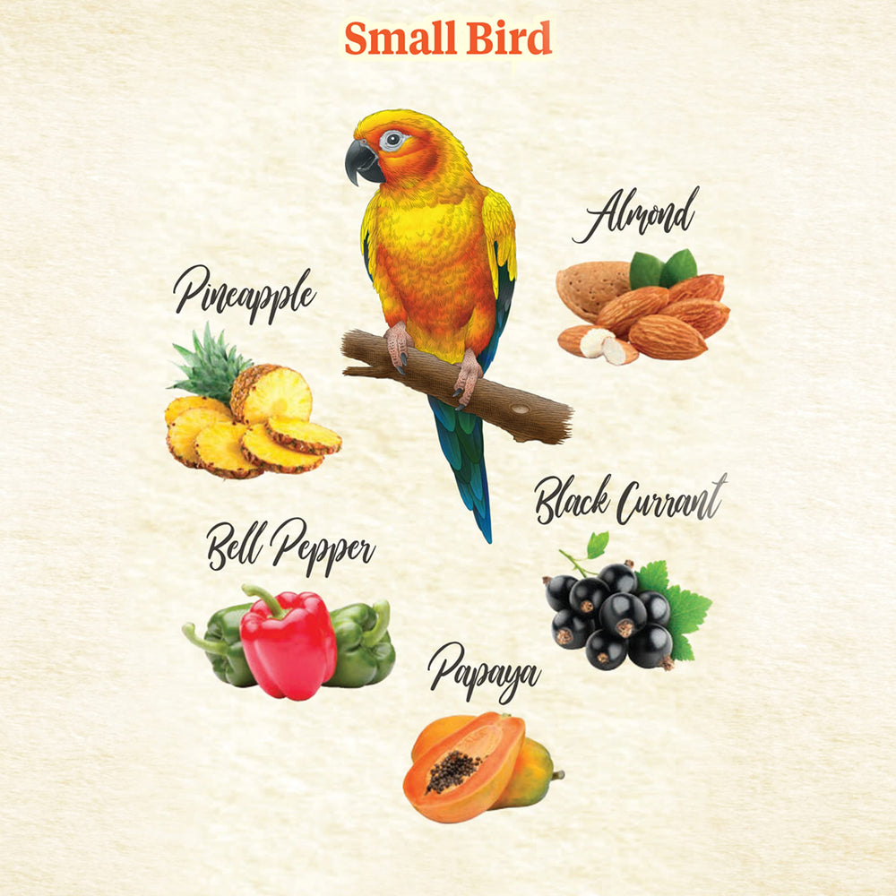 Kaytee Snack Natural del Hábitat: grosella negra deshidratada para aves.