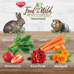 Kaytee snack salvaje natural con ingredientes reales para roedores curiosos